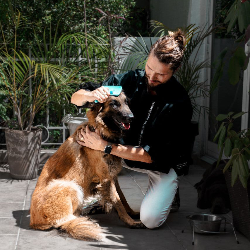 Animal Care