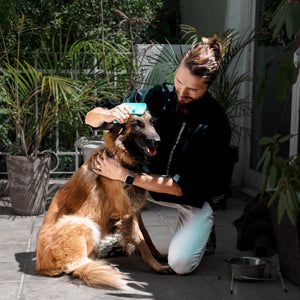Animal Care